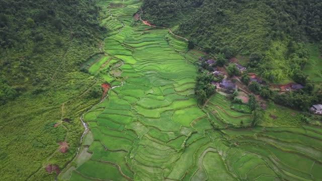 Green Valley With Farmhouse Cluster