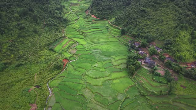 Terraced Slope Beside Village Homes