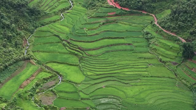 Village Nestled Among Green Terraces