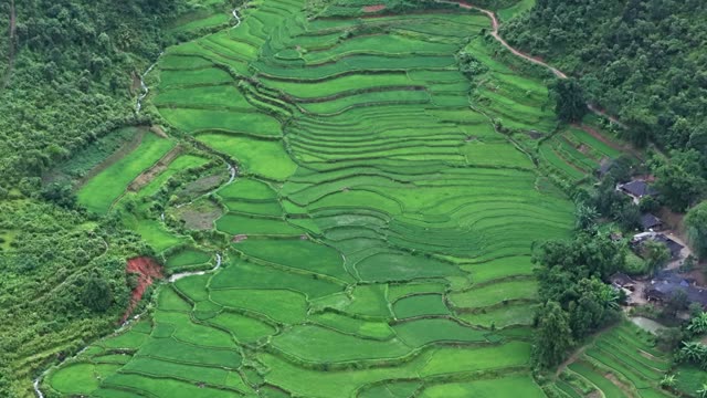 Terraced Stream Valley With Red Trails