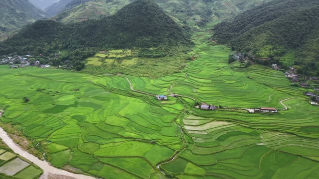 Village Path Through Rice Terraces