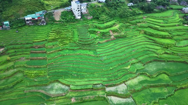Terraced Fields Beside Riverside Hotel