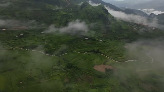 FPV Skimming Green Rice Terraces