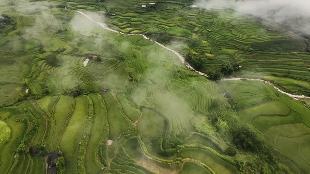 FPV Diving Through Cloud Streams