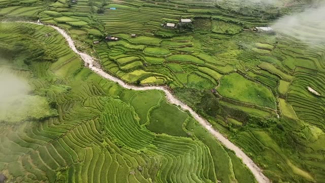 FPV Racing Over Terraced Valley Road