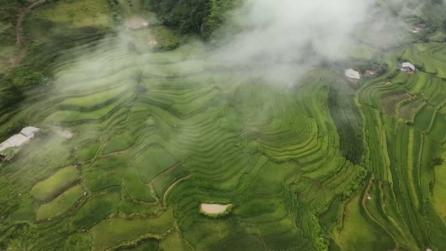 FPV Flying Through Terrace Mist