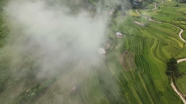 FPV Passing Jungle Cliff Face