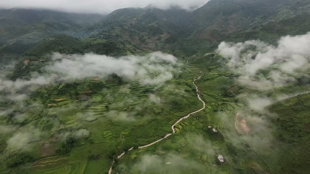 FPV Skimming River Through Terraces