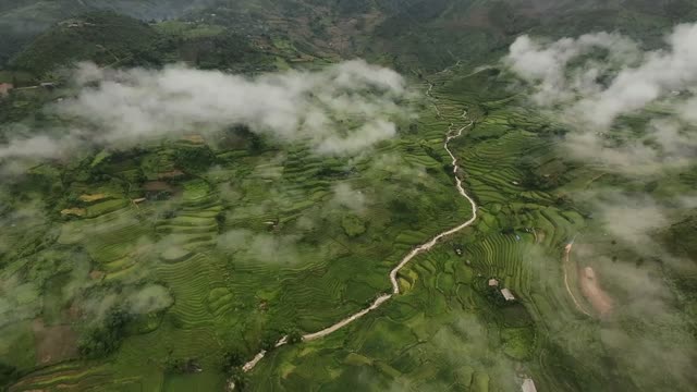 FPV Flying Over Patchwork Fields
