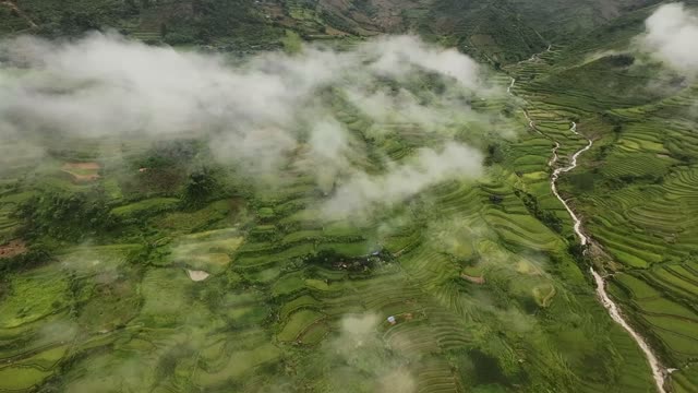 FPV Diving Into Cloud Bank