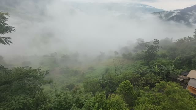 Village Road Emerging From Fog