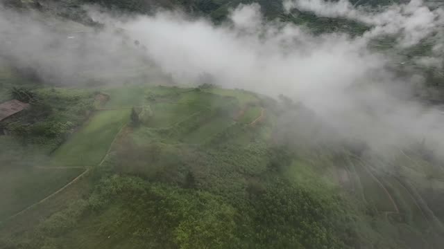 FPV Emerging From Mountain Fog
