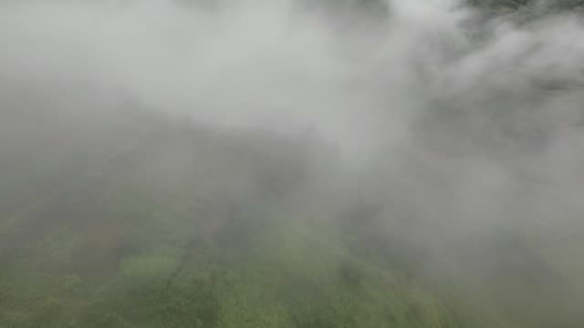 FPV Enveloped In Thick Fog