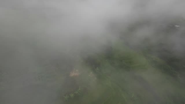 FPV Flying Through Misty Terraces