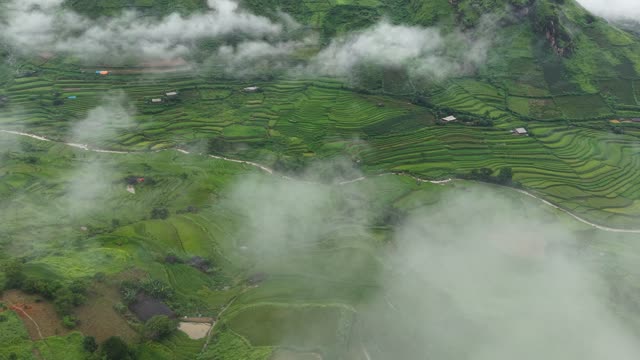 Terraced Fields Along Mountain Road
