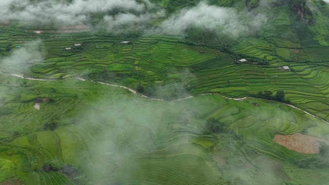 Village Among Rice Terraces