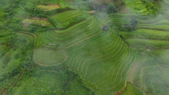 Misty Terraces With Round Pond