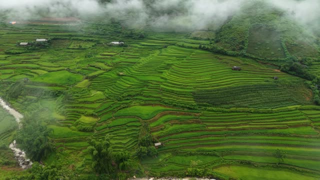 Green Terraced Hillside With Houses