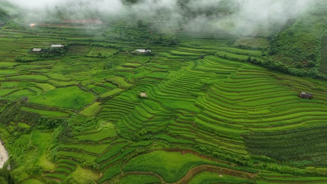 Terraced Fields With Hillside Hut