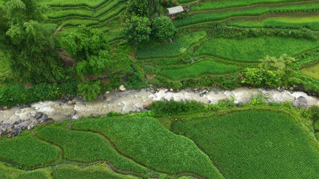 River Through Rice Terraces