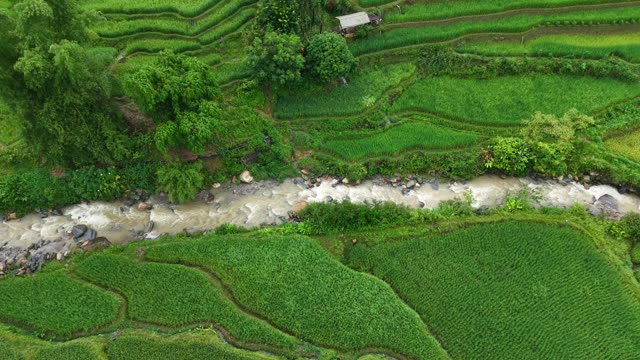 Stream Winding Through Terraces