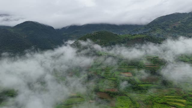 Terraces Visible Through Mountain Fog