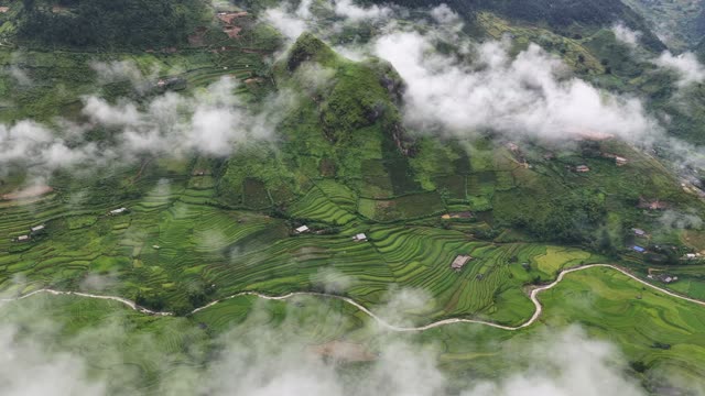 Terraced Valley Wrapped In Fog