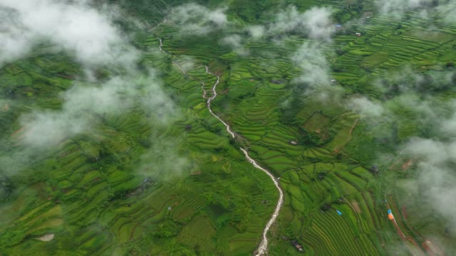 Stream Through Misty Terraced Fields
