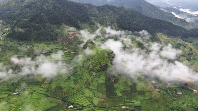 Green Peak Wrapped In Morning Fog