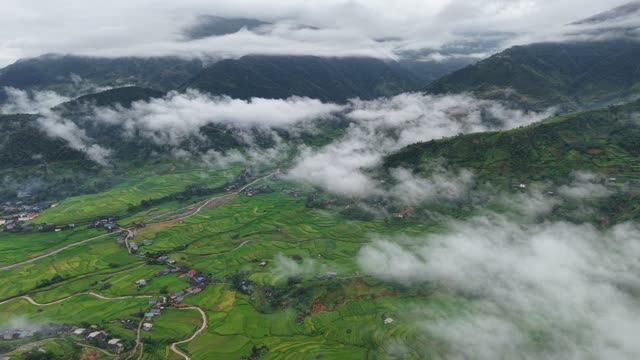 Terraced Fields Along Winding Road