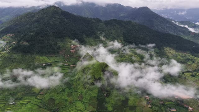 Misty Peak Above Rice Terraces