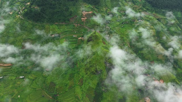 Rice Terraces In Misty Valley