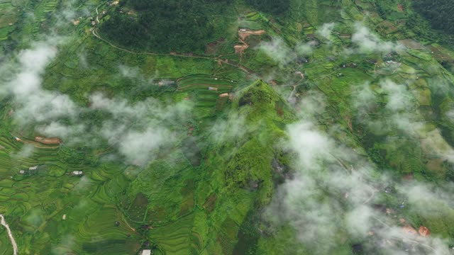 Cloud Covered Mountain Terraces