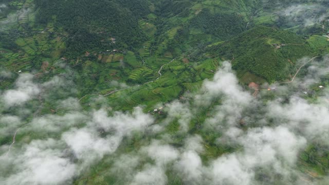 Terraced Valley With Light Mist