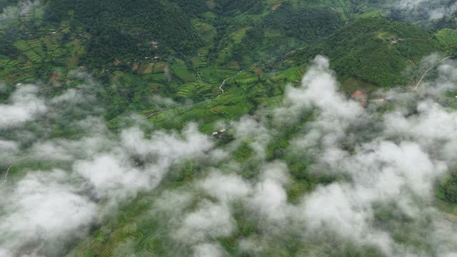 Green Terraces Beneath Cloud Layer