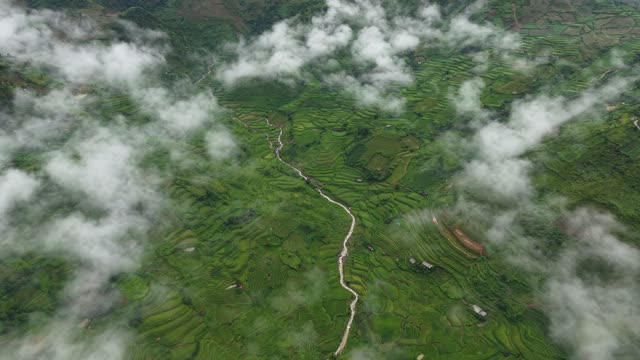 Terraces Emerging From Drifting Clouds