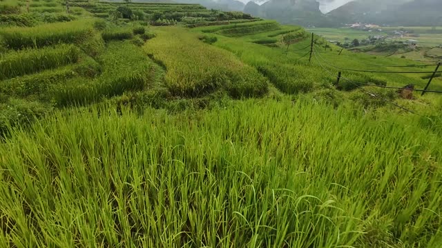 FPV Weaving Through Terraced Bowl