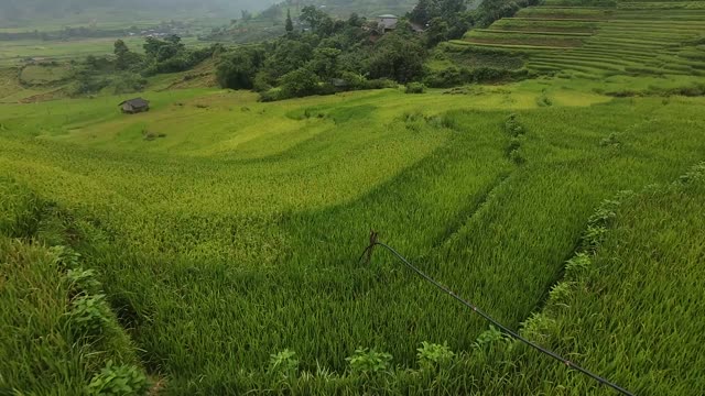 FPV Racing Past Fence Line Terraces