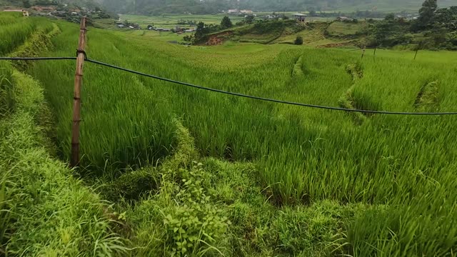 FPV Flying Over Farmhouse Terraces