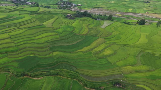 Wide Rice Terraces Meeting Village Road