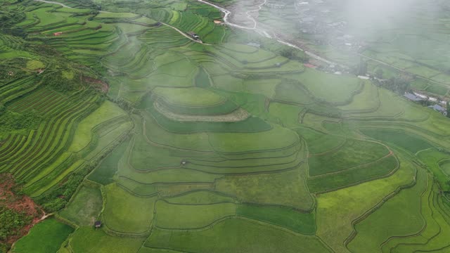 Rice Terraces Beside Village Road