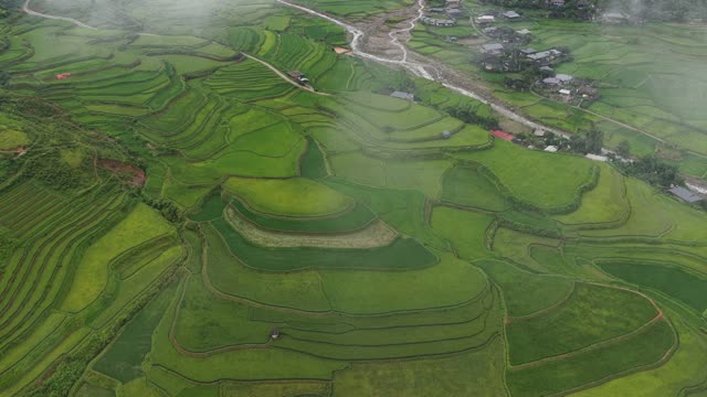 Terraced Mound Amid Green Fields