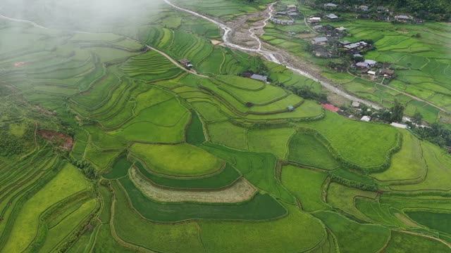 River Crossing Through Rice Terraces