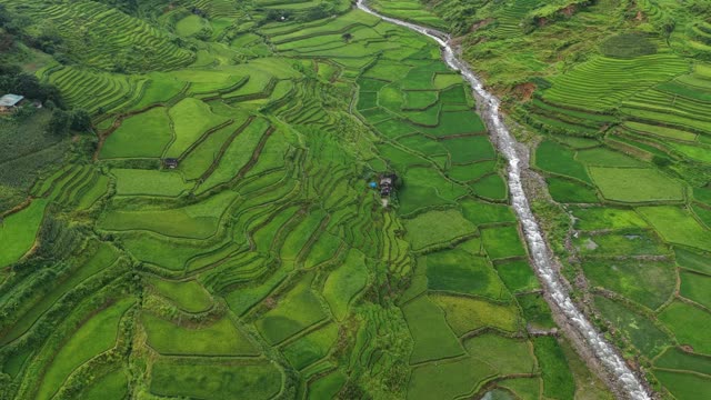 Terraces Beside Winding River Village