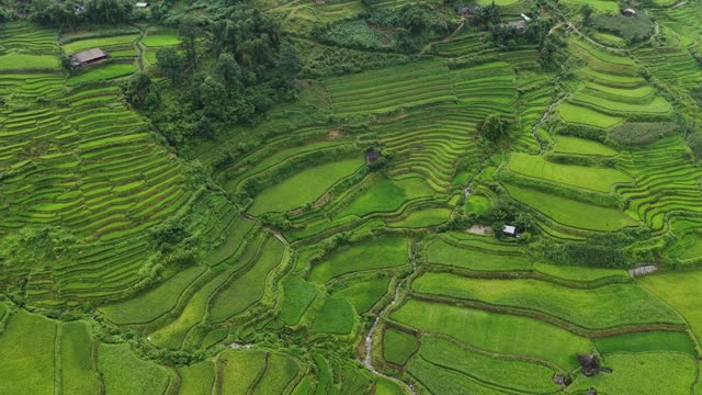 Terraced Bowl With Farmhouse Hut