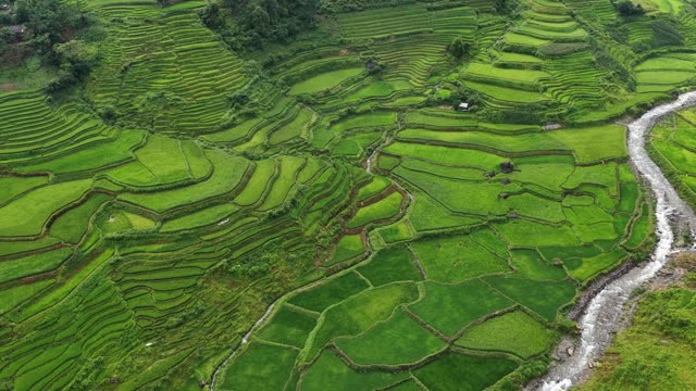 Winding Stream Through Terraced Bowl