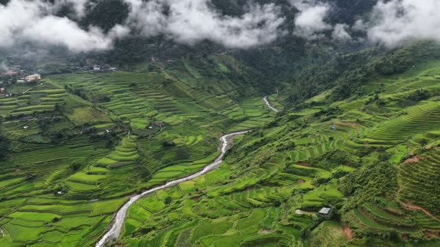 Terraces Beneath Drifting Mountain Clouds