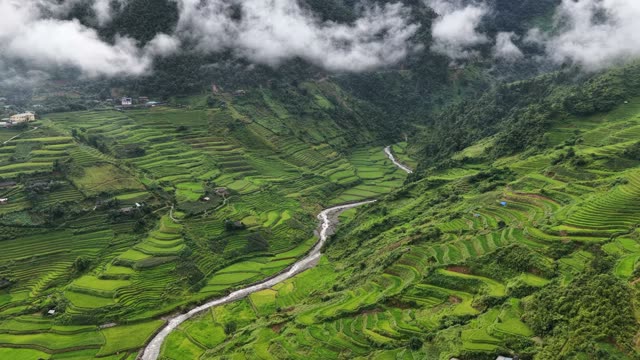 River Winding Through Foggy Terraces