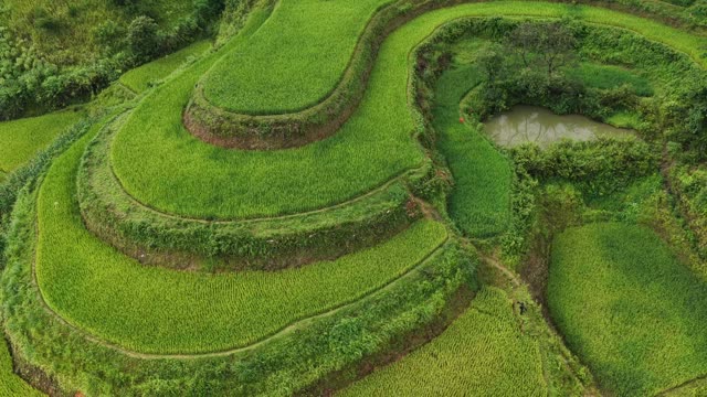 Curved Terraces With Small Pond