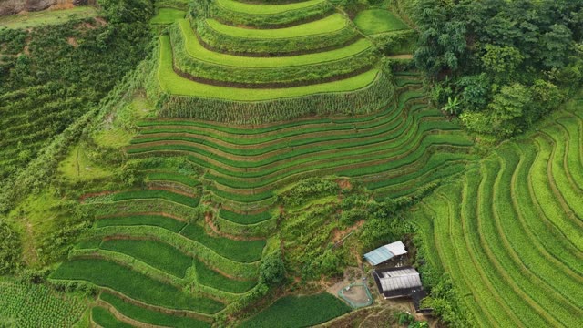 Stepped Terraces Beside Farm Building